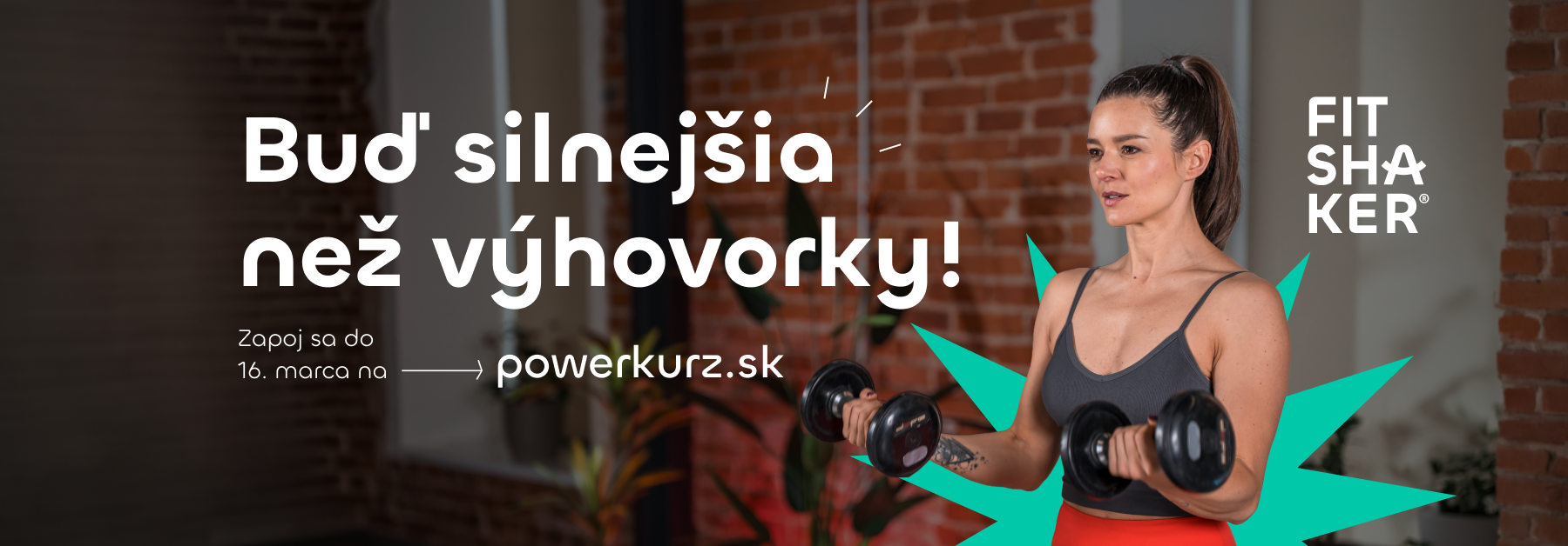 fitshaker silový tréning