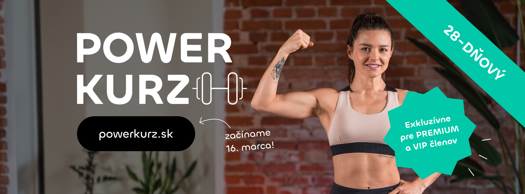 fitshaker silový tréning